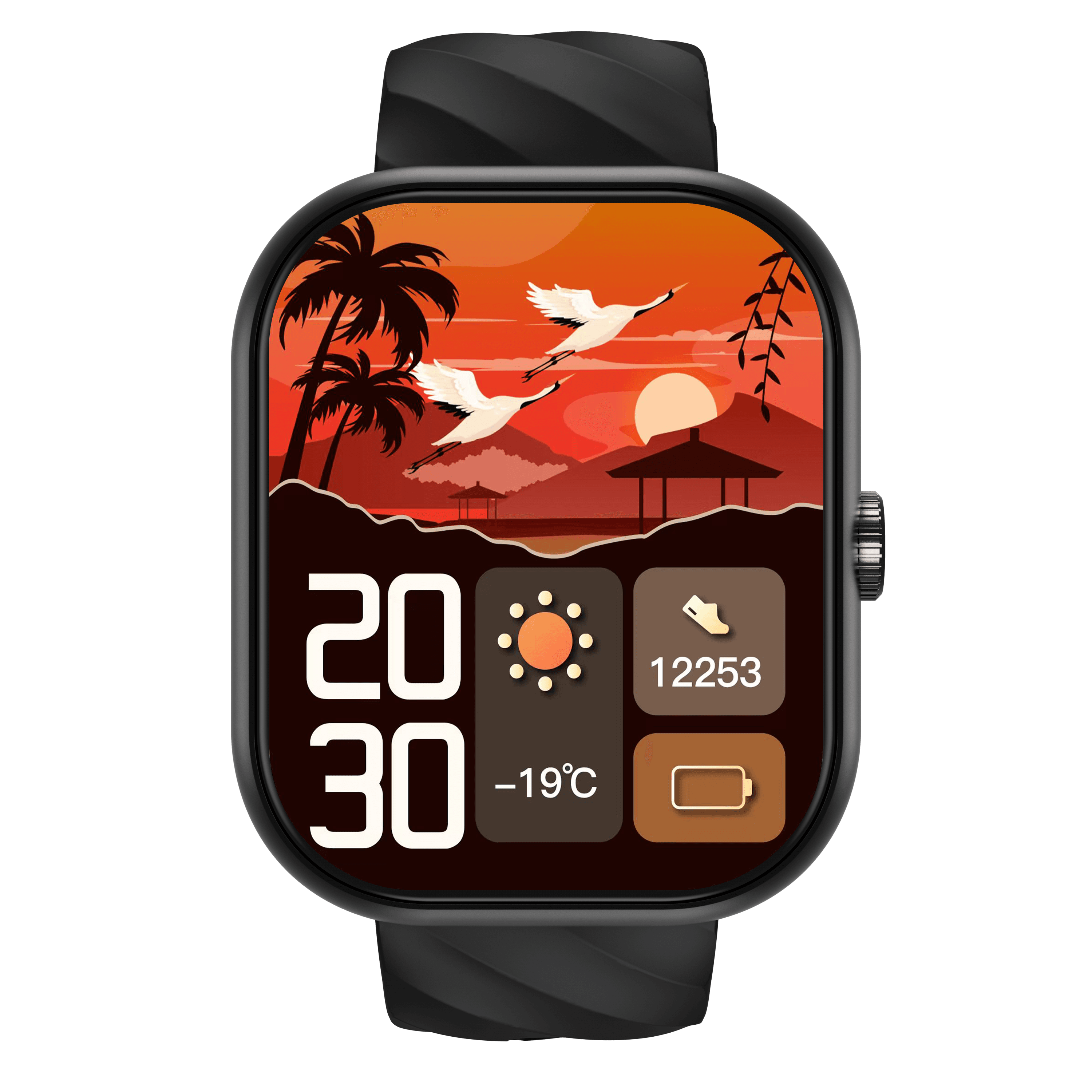 DLD D06 2.01" HD Large Screen Smart Watch 2